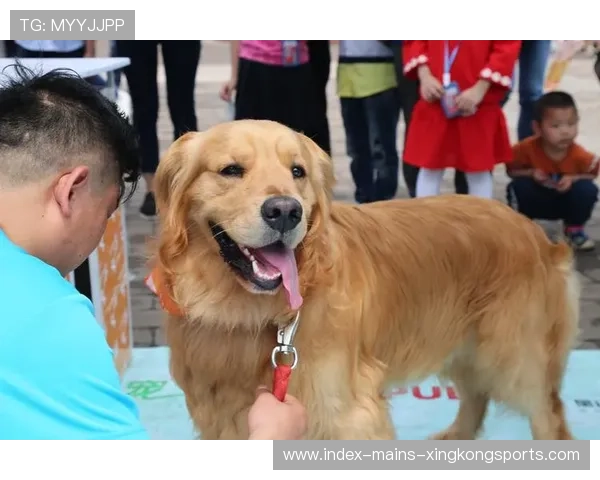 世界冠军跑步带狗拉爆全场：运动与萌宠的完美交汇